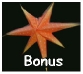 bonusstar